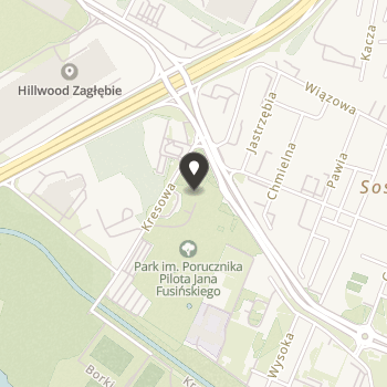 Fundacja Akademia Piłki Nożnej Zagłębia Sosnowiec na mapie