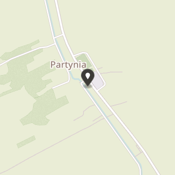 Stowarzyszenie "Ku Przyszłości" w Partyni na mapie