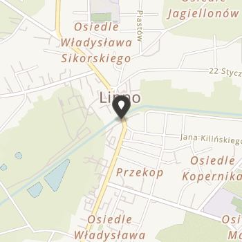 Stowarzyszenie Pożytku Publicznego "Odeon" na mapie