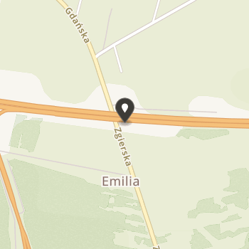 Fundacja "Koci Azyl" na mapie