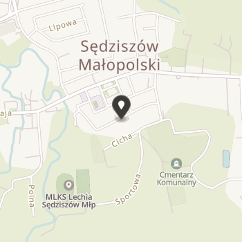 Polskie Stowarzyszenie na Rzecz Osób z Niepełnosprawnością Intelektualną Koło w Sędziszowie Małopolskim na mapie