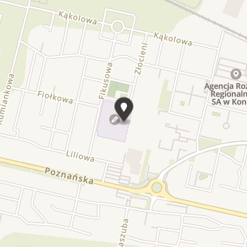 Stowarzyszenie Aktywności Lokalnej "Młodzi - Aktywni" na mapie