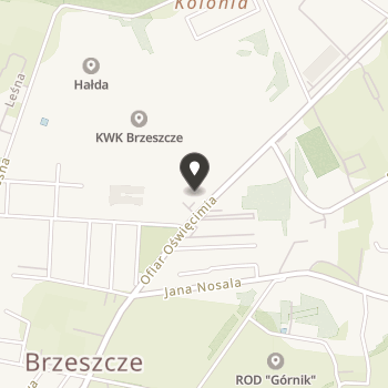 Stowarzyszenie "Amazonek" w Brzeszczach na mapie