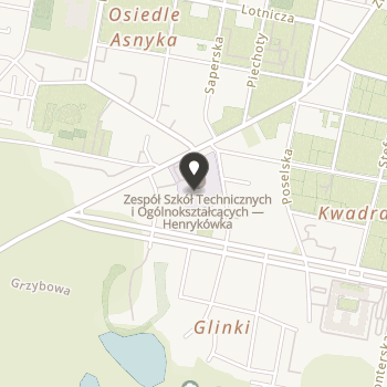 Stowarzyszenie "Silesianie" na mapie