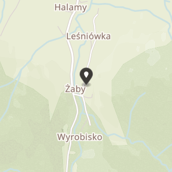 Gorczański Oddział Związku Podhalan im. Władysława Orkana w Gminie Niedźwiedź na mapie