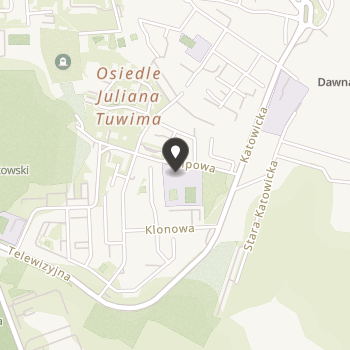 Stowarzyszenie na Rzecz Wyrównywania Szans Dzieci i Młodzieży Niepełnosprawnej Oraz Ze Specjalnymi Potrzebami Edukacyjnymi "Lodołamacz" na mapie