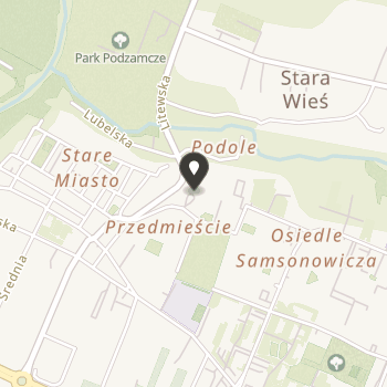 Polskie Stowarzyszenie na Rzecz Osób z Niepełnosprawnością Intelektualną Koło w Łęcznej na mapie