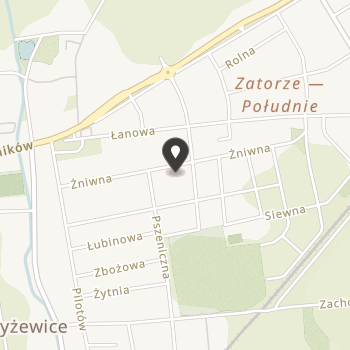 Fundacja London Polish Society na mapie