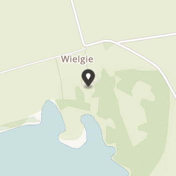 Stowarzyszenie Przyjaciół Sosw w Wielgiem na mapie