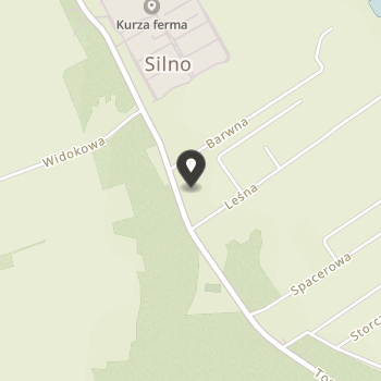 Stowarzyszenie Nasze Silno na mapie