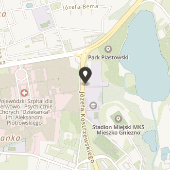 Stowarzyszenie Absolwentów i Liceum Ogólnokształcącego im. Bolesława Chrobrego w Gnieźnie na mapie