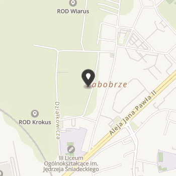 Demokracja i Sprawiedliwość na mapie