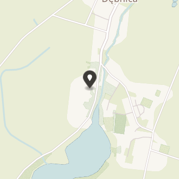 Stowarzyszenie Artystyczno-Rehabilitacyjno-Terapeutyczne "Promyk" Dębnica na mapie