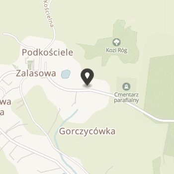 Fundacja Pomocy Pokrzywdzonym w Wymiku Zdarzeń Losowych im. Leszka Gawrona w Zalasowej na mapie