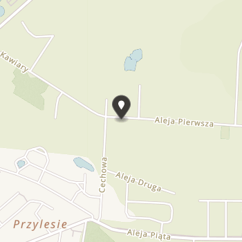 Stowarzyszenie "Wielki Mały Uśmiech" na mapie