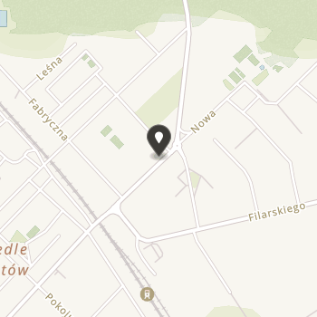 Stowarzyszenie Osób Niepełnosprawnych w Zdzieszowicach na mapie