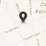 Stowarzyszenie Sami Swoi Niepełnosprawni w Mosinie na mapie