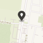 Lędzińskie Stowarzyszenie na Rzecz Osób Niepełnosprawnych i Ich Rodzin na mapie