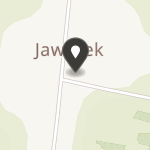 Stowarzyszenie Pomocy Osobom Niepełnosprawnym "Jawor" na mapie