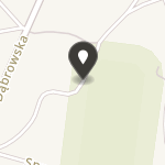 Ochotnicza Straż Pożarna w Niegowonicach na mapie