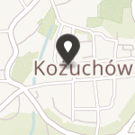 Towarzystwo Uniwersytetów Ludowych Lubuski Oddział Regionalny w Kożuchowie na mapie