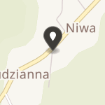 Stowarzyszenie Przyjaciół Bazyliki w Studziannie na mapie