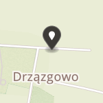 Stowarzyszenie Dzieci i Młodzieży Niepełnosprawnych "Razem" w Drzązgowie na mapie