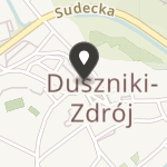 Fundacja Międzynarodowych Festiwali Chopinowskich w Dusznikach-Zdroju na mapie
