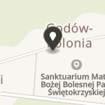 Świętokrzyskie Stowarzyszenie Niepełnosprawnym "Radość" na mapie